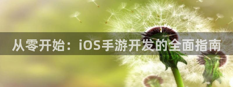 恒盛娱乐登陆：从零开始：iOS手游开发的全面指南