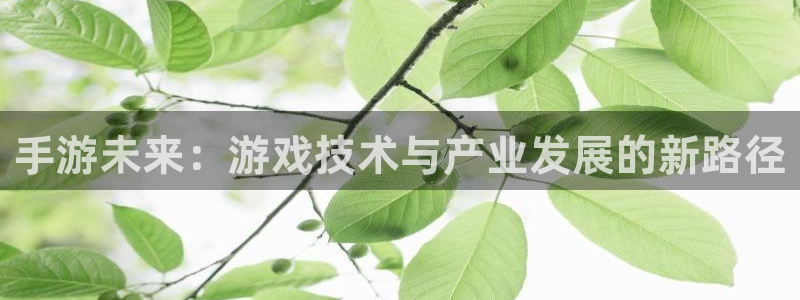 恒盛娱乐下载：手游未来：游戏技术与产业发展的新路径