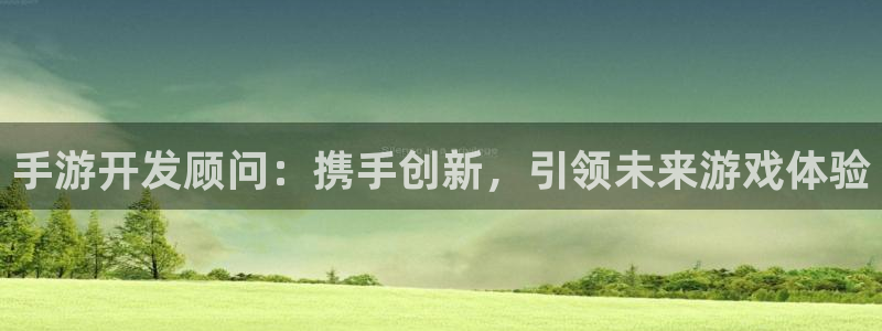 恒盛娱乐平台：手游开发顾问：携手创新，引领未来游戏体验
