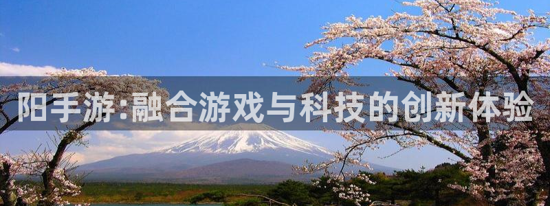 恒盛娱乐登录：阳手游:融合游戏与科技的创新体验
