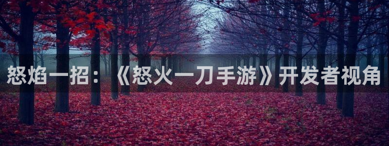 恒盛娱乐注册：怒焰一招：《怒火一刀手游》开发者视角