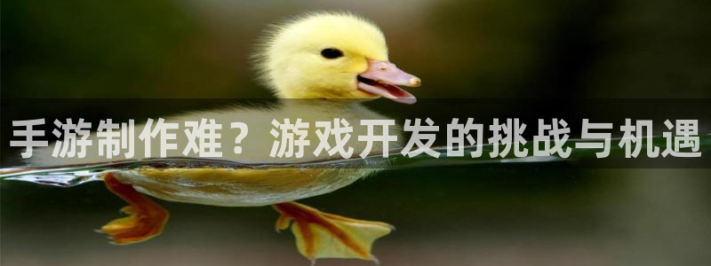 恒盛娱乐下载：手游制作难？游戏开发的挑战与机遇