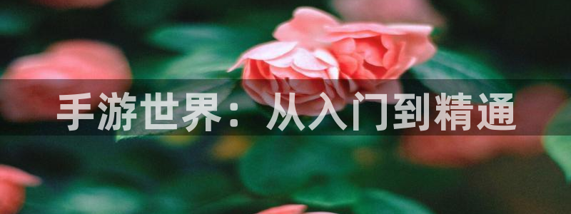 恒盛娱乐注册：手游世界：从入门到精通