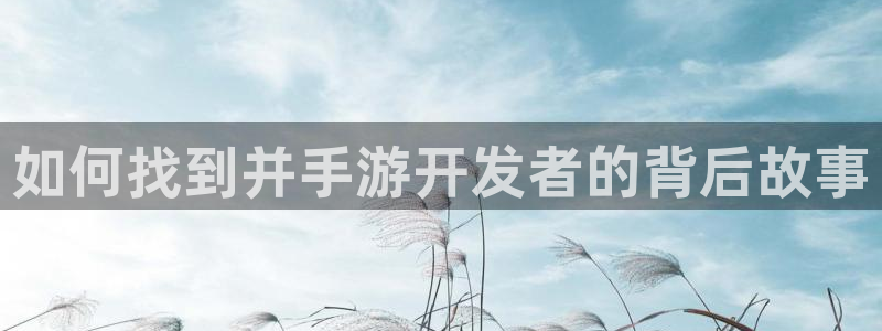 恒盛娱乐登录：如何找到并手游开发者的背后故事