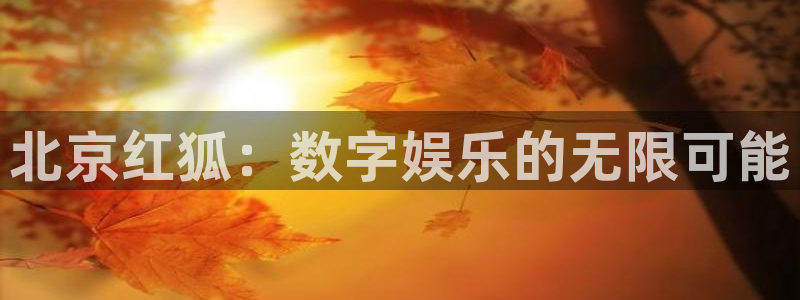 恒盛娱乐：北京红狐：数字娱乐的无限可能