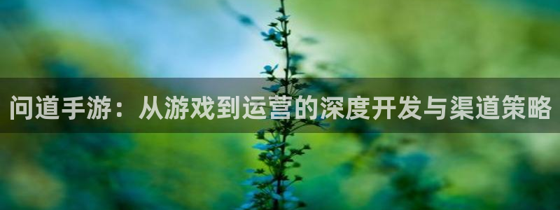 恒盛娱乐登陆：问道手游：从游戏到运营的深度开发与渠道策略