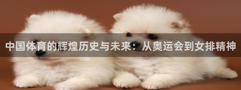 bbin视讯游戏官网：中国体育的辉煌历史与未来：从奥运会到女排精神