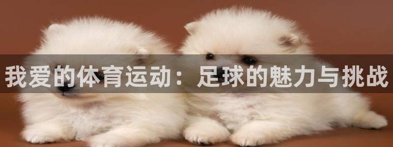 bbin视讯下：我爱的体育运动：足球的魅力与挑战