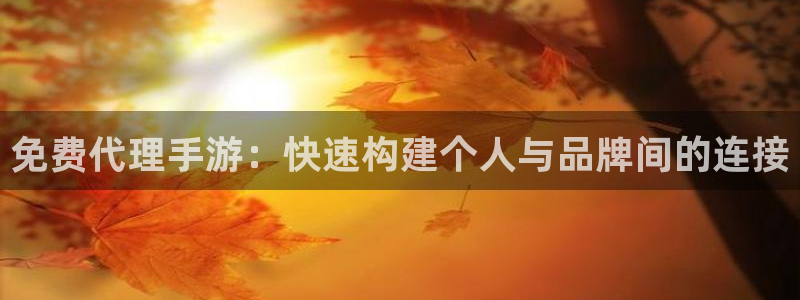 恒盛娱乐平台：免费代理手游：快速构建个人与品牌间的连接